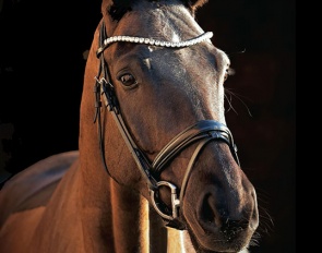 Fabio (by Fashion Maker x Rubinstein)