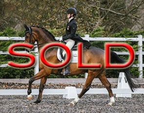 SOLD SOLD SOLD