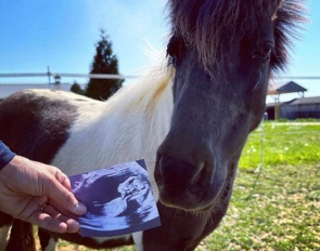 Silva and Boyd Martin are expecting their third child