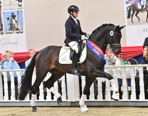 Heiko Klausing aboard Solo Dancer in the 2023 Oldenburg spring elite auction :: Photo © OLD Art