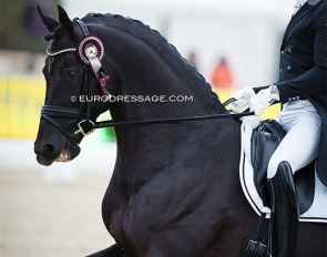Bart Veeze and Imposantos won the 2022 Dutch Small Tour Championship :: Photo © Astrid Appels