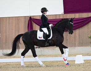 Anna Marie and Diamantina won five CDI classes in a row :: Photo © István Lehoczky