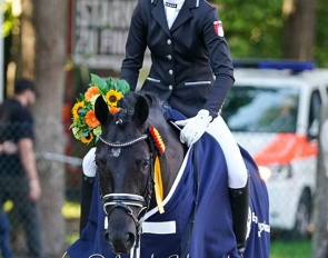 Newmaxx Moon at the Bundeschampionate :: Photos © Judith ten Brink-Schempf