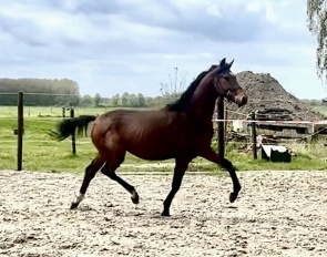 Revanche (by Valverde x Everdale x Jazz)