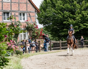 Learn more about Oldenburg horse breeding and sport horse training at the "Oldenburg Meeting" :: Photo ©  Beeke Fitschen
