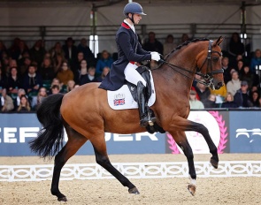 Lewis Carrier and Diego on a role at the 2023 CDI Windsor :: Photo © Daydream Equine Photography