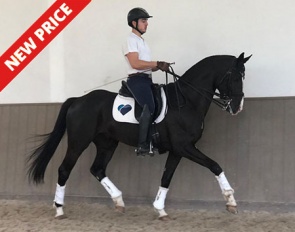 Totality (by Totilas x Sandro Hit x Welt Hit II)