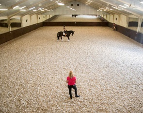 Judy de Winter's yard near Rotterdam (NED)