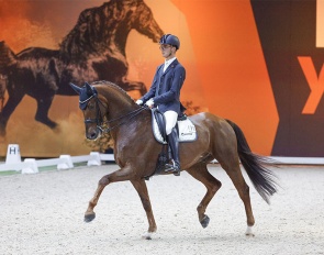 Marten Luiten competing at the 2023 Indoor Friesland CDI in Leeuwarden :: Photo © Digishots