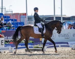 Carola Semperboni on Paul at the 2022 World Para Dressage Championships in Herning :: Photo © Sharon Vandeput for Hippofoto.be