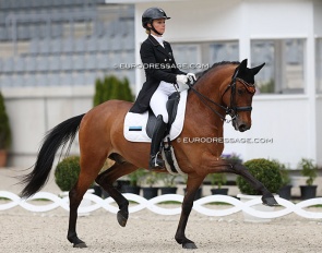 Grete Ayache on Farao da Raia at the 2023 CDI Aachen Festival 4 Dressage :: Photo © Astrid Appels