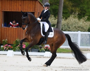 Luca Collin on Ferrero at the 2023 CDIO Compiègne :: Photo © Astrid Appels