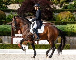 Alejandro Asencio Méndez with Gaviao Dos Cedros at the 2023 CDI Kronberg :: Photo © Lily Forado