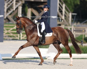 Devenda Dijkstra on Hero at the 2023 CDI Kronenberg, the last Dutch team observation trial for Riesenbeck :: Photo © Astrid Appels