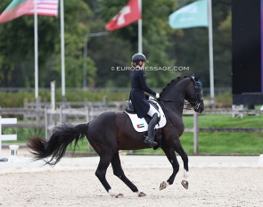 Natalie Lankester on Cash at the 2023 CDI Kronenberg :: Photo © Astrid Appels
