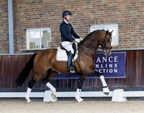 Dutch team rider Diederik van Silfhout on McKenzy JHL 