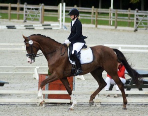 Vilard’s Dowina as a young mare under saddle