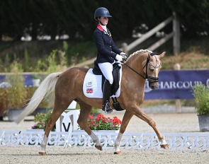 Amden Supreme Golden Dancer at the 2023 European Pony Championships in Le Mans