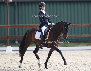 Veerle van Hof and Vinkenhove Xander at the 2021 CDI Grote Brogel :: Photo © Astrid Appels