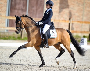 Virginia Sponle and Coer Noble at the 2021 CDI Grote Brogel :: Photo © Astrid Appels