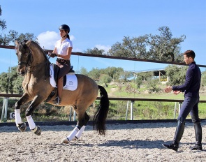 Get lessons from Portuguese Olympian Joao Torrao on advanced level trained Lusitanos at Monte Velho Equo-Resort in Arraiolos, Portugal