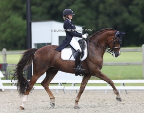 Sofie Soderback and Don Royal at the 2022 CDI Meerle :: Photo © Astrid Appels - No reproduction allowed
