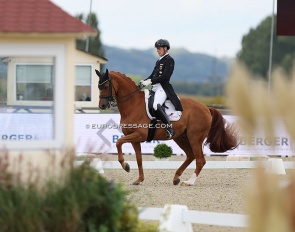 Frederic Wandres and Duke of Britain at the 2023 CDI Hagen - The Autumn Edition :: Photo © Astrid Appels