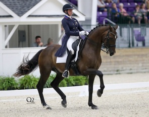 Anna Marek and Fire Fly at the 2023 CDI Ocala :: Photo © Q2 Photography