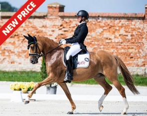 Davida at the European Pony Championships in Strzegom :: Photo © Lukasz Kowalski