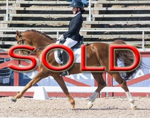 Sold in one month time