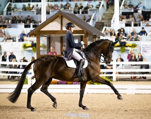 Ben Ebeling and Indeed at 2023 Dressage at Devon CDI-W :: Photo © Phelps Media Group
