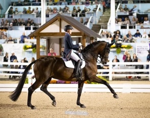 Ben Ebeling competing at 2023 Dressage at Devon :: Photo © Phelps Media Group