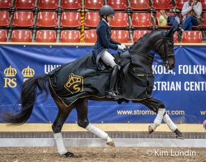 Third title in a row for Vendela Eriksdotter Rubin and Diploid (by Hesselhoj Donkey Boy x Topaasch) at the Swedish Warmblood Young Horse Championships :: Photo © Kim Lundin