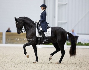 Laura Graves and SenSation FOD at the 2023 CDN Ocala :: Photo © Lily Forado