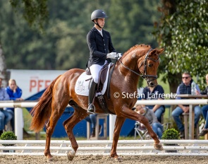 Bart Desender on Marian von Bellin at the 2020 Bundeschampionate :: Photo © Stefan Lafrentz