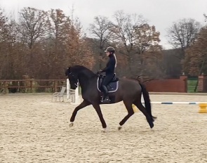 Solimann training at home with Lena Waldmann