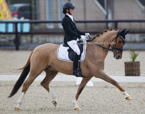 Josephine Gert Nielsen and Strandgaards Doleys at the 2022 CDI Opglabbeek :: Photo © Astrid Appels