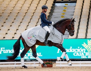 A double win for Raul Arcos Soguero who claimed the gold in the 4- and 6-year old division. Here he is in his lap of honour on Olvido CAD :: Photos © SICAB