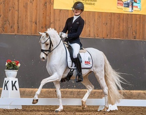 George (by HET Golden Dream x FS Cocky Dundee) - a star for the future