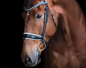 Je T'Aime (by Charmeur x Westpoint