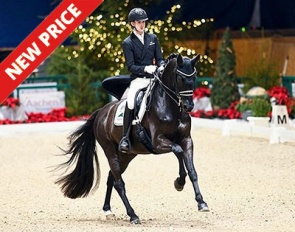Treffinger's Superstition at the 2022 CHIO Aachen Dressage Youngsters Competition