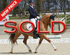 SOLD SOLD SOLD
