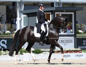 Matthias Rath and Thiago GS at the 2023 European Dressage Championships in Riesenbeck :: Photo © Astrid Appels