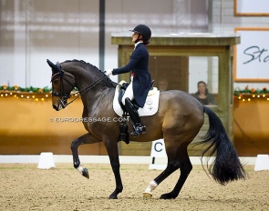 The 2023 CDI Kronenberg Indoor was all about the CDI debut of Cathrine Dufour and Mount St. John Freestyle and what a debut it was !! :: Photo © Astrid Appels