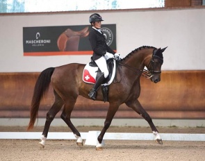 Flore Espina and Dartanan de Fangar at the 2023 CPEDI Ornago :: Photo © Caroline Schunk