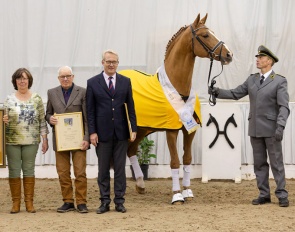 Edward is the Hanoverian Stallion of the Year 2023 :: Photo © Hannoveraner verband