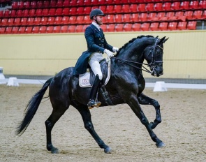 Imando (by Apache x Nourejev)