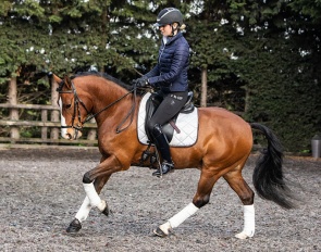 Asterhof’s It’s Gino