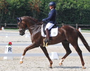 Julie Dossin and Kensington in the young horse classes in Belgium in 2020