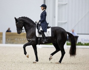 Laura Graves and SenSation FOD at the 2023 CDN Ocala :: Photo © Lily Forado